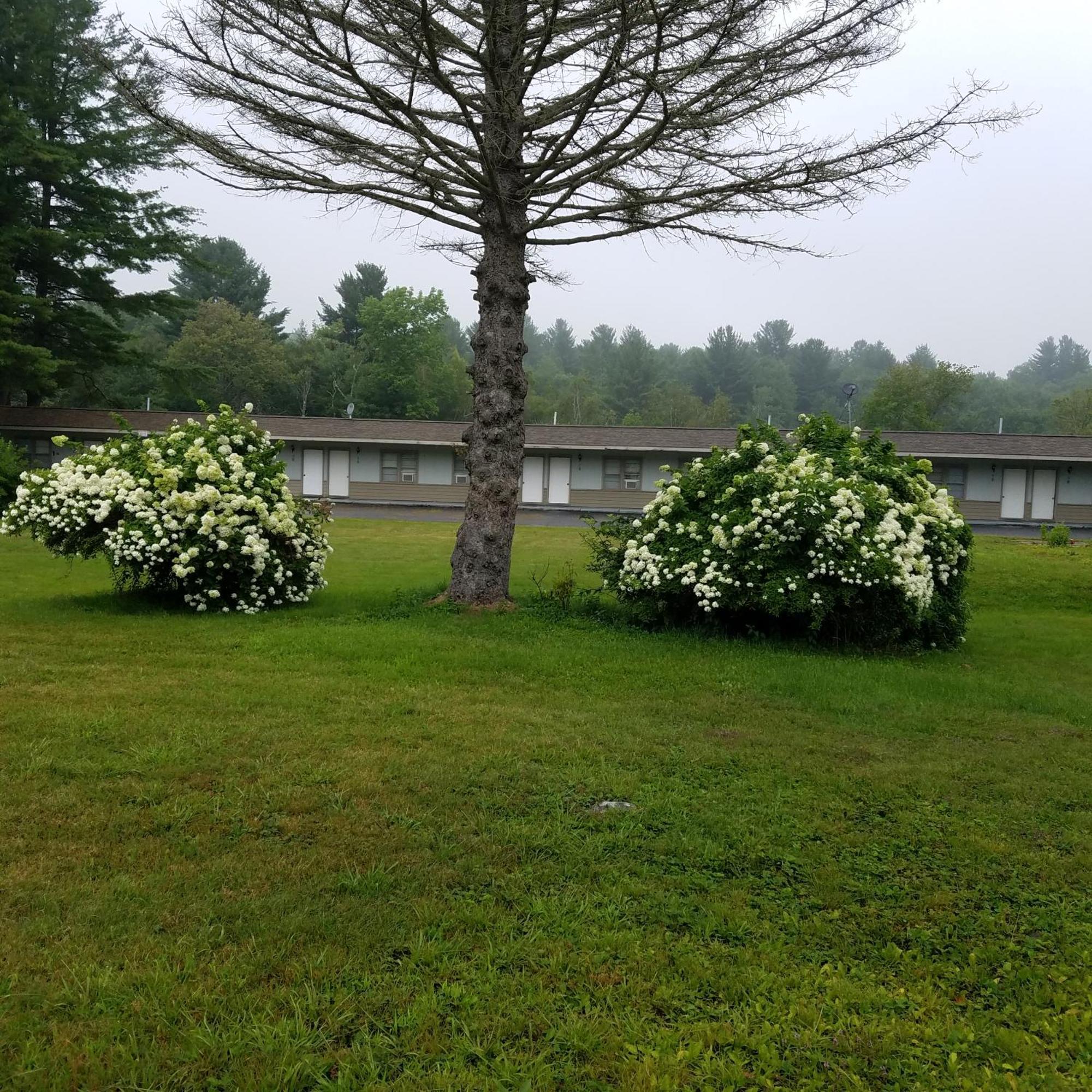 The Becket Motel ภายนอก รูปภาพ